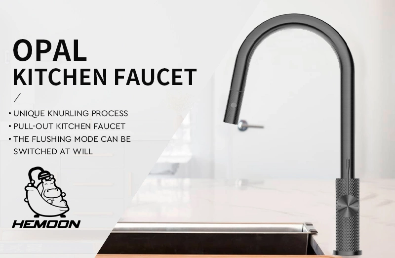 High-End Knurled Spray Brass Sanitary Ware Kitchen Faucet Sink Pull out with Pull Down Sprayer