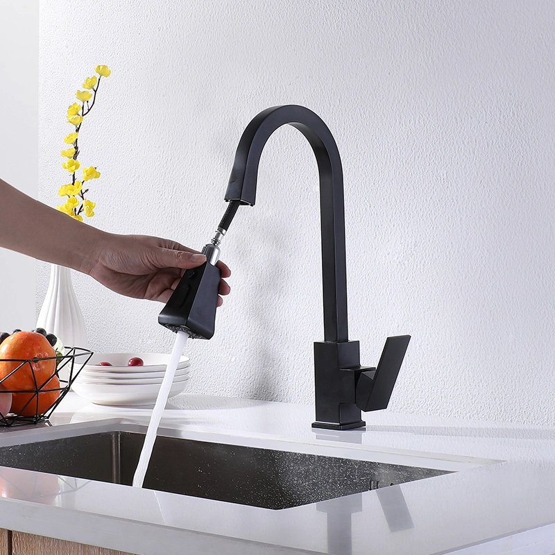 Luxury Matte Black Kitchen Sink Faucet with Pull Down Sprayer