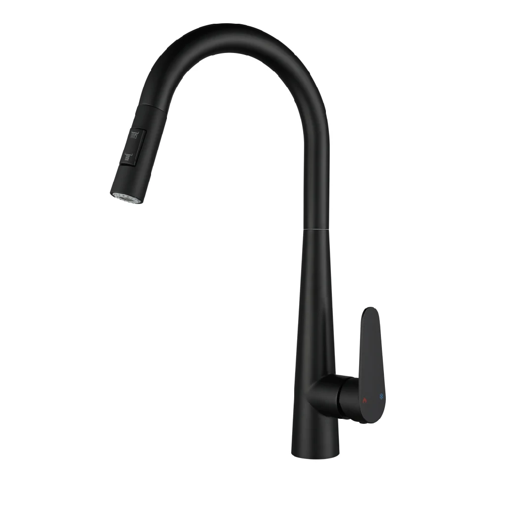 Landonbath Matte Black Stainlsess Steel SUS304 Kitchen Faucet